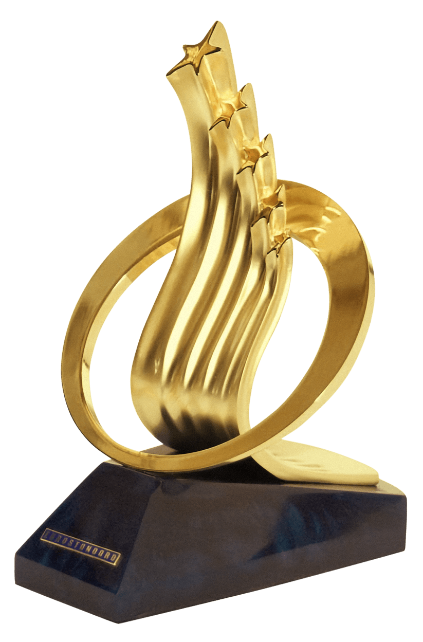 
	International award «European Standard — 2011»
